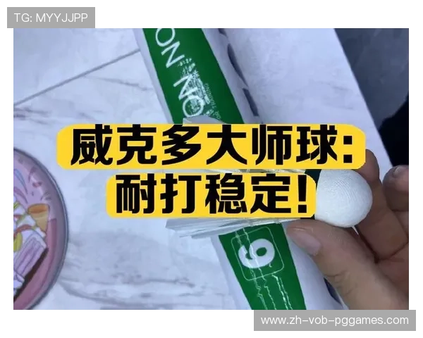 羽毛球胜利大师球4